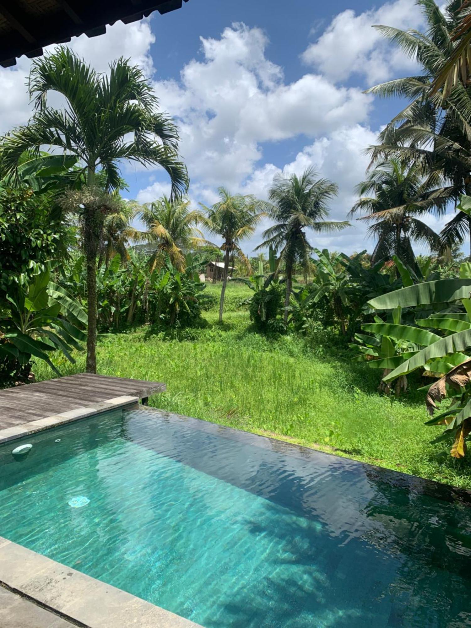 Bale D'Uma Joglo Villa Ubud Eksteriør bilde